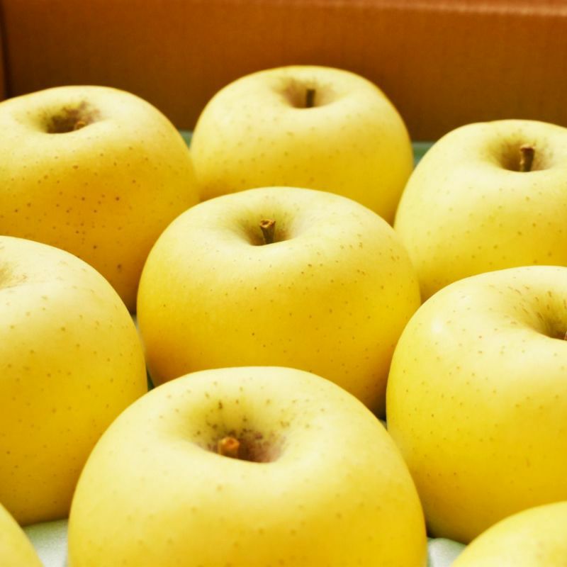 送料無料！】【糖度保証14度】りんご シナノゴールド 特秀5kg COCORO FARM VILLAGE