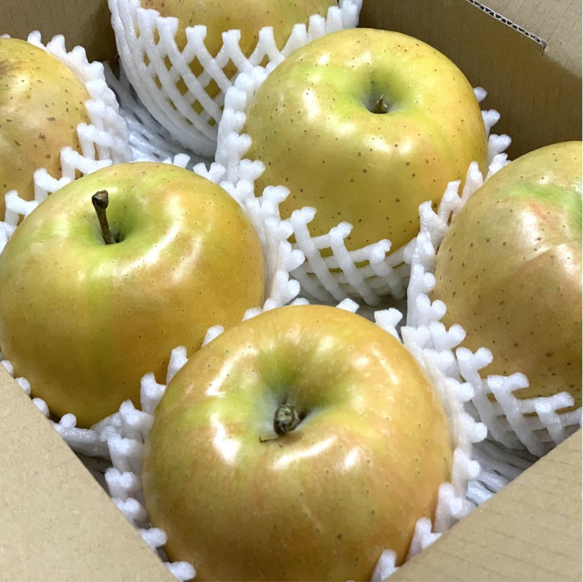 なかののきらめき