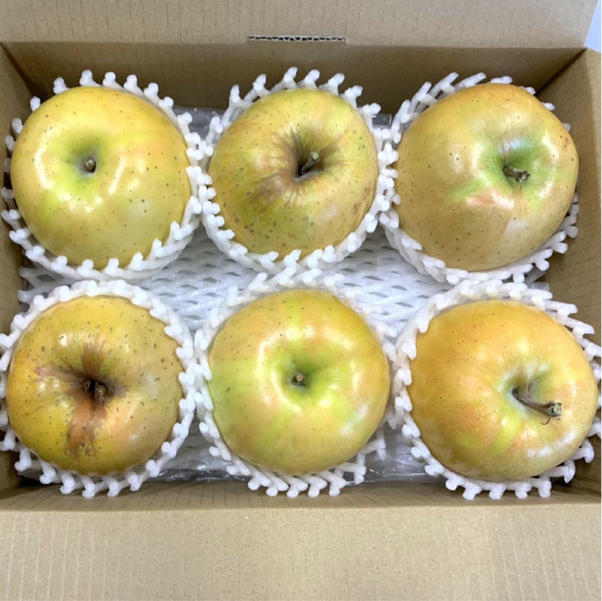 なかののきらめき