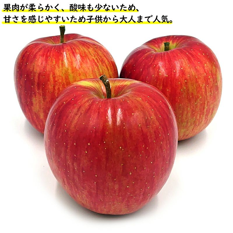 長野県産 りんご シナノスイート 訳あり品（打身・スレ・ほぞわれ