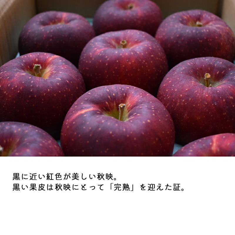 長野県産 りんご 秋映 あきばえ 特秀 | COCORO FARM VILLAGE