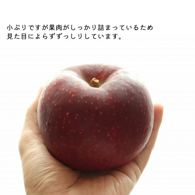 長野県産 りんご 秋映 あきばえ 特秀 | COCORO FARM VILLAGE