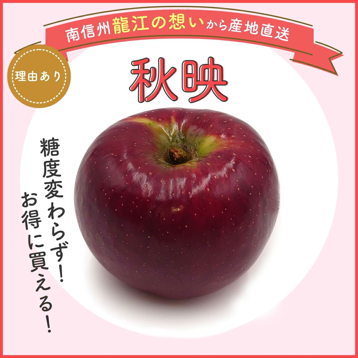 長野県産りんご 秋映 訳あり品（打身・スレ・ほぞわれ・小玉大玉など