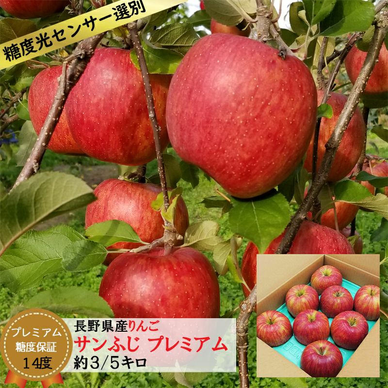 サンふじ 贈答