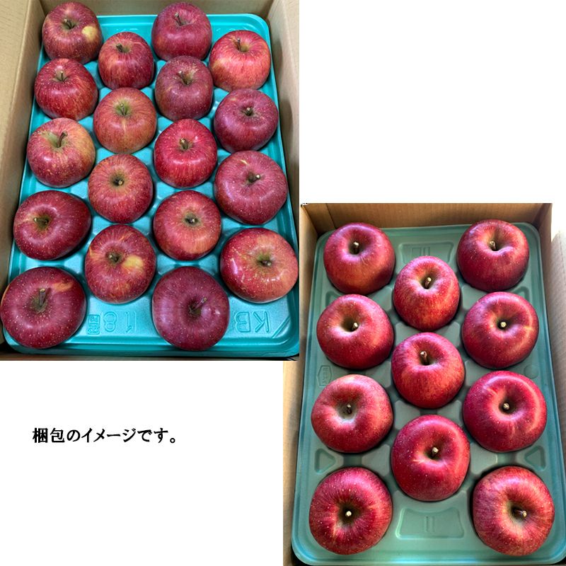 シャキシャキ！信州産サンふじ(3㎏)：長野県産のふじ｜食べ