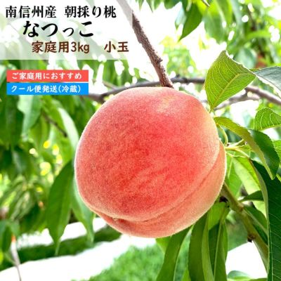 白桃 | COCORO FARM VILLAGE