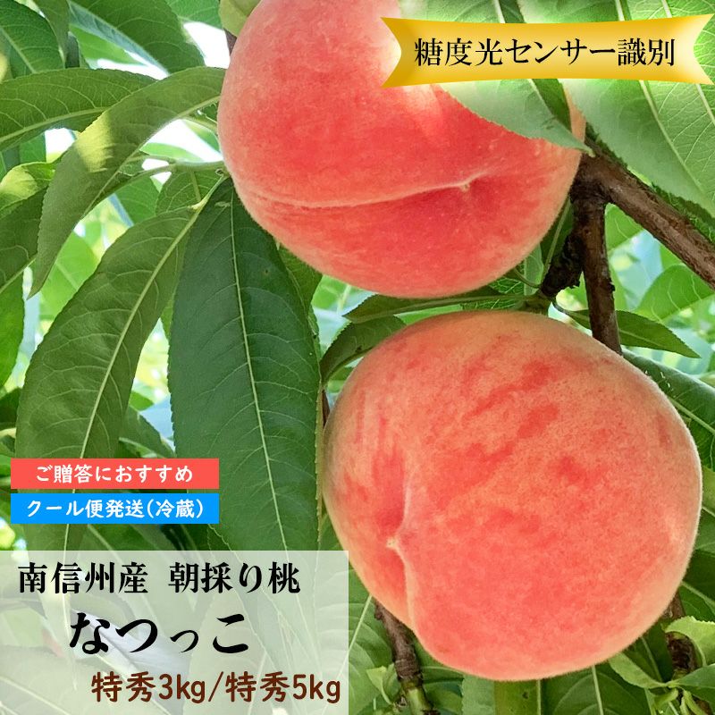 長野県産 朝採り 桃 なつっこ 特秀 約3キロ / 約5キロ ギフト 贈答用 | COCORO FARM VILLAGE