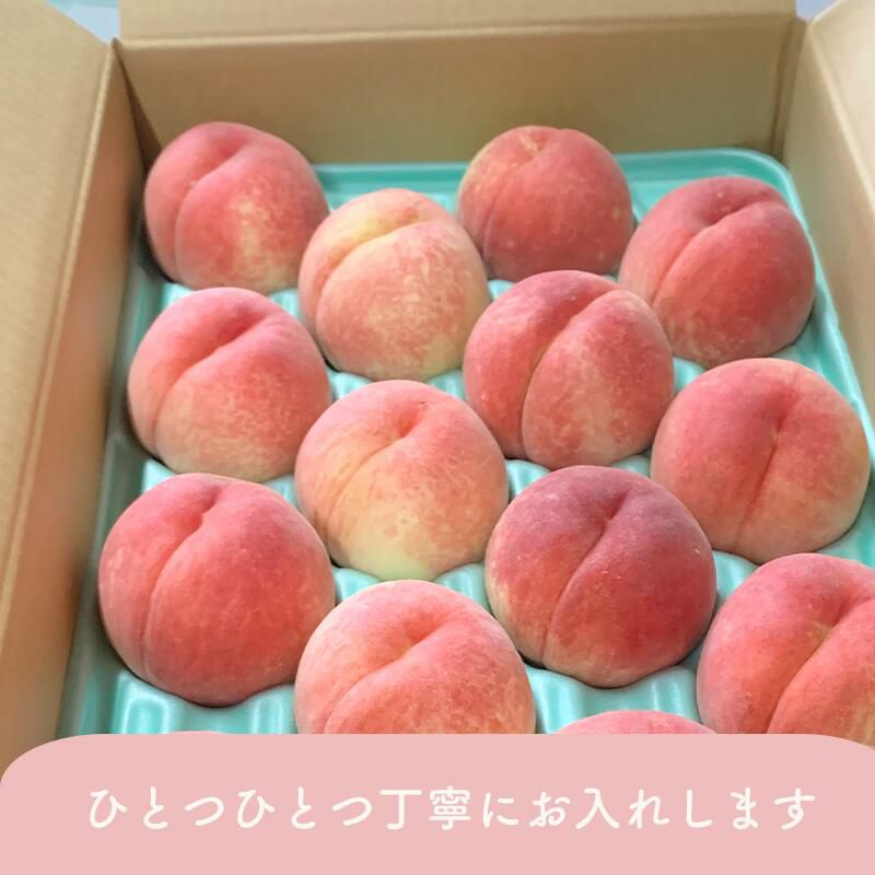 長野県産 桃 なつっこ 特秀 約3キロ / 約5キロ ギフト 贈答用