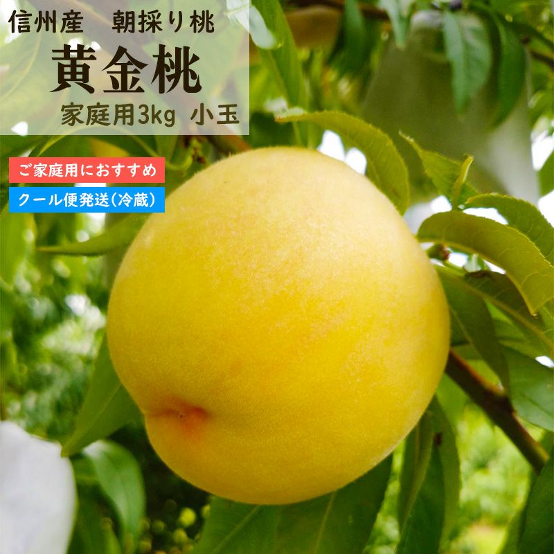 【ご自宅用】長野県産 桃 黄金桃 小玉 約3キロ