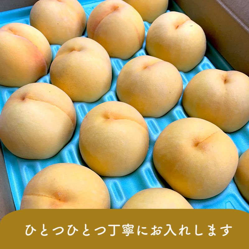 長野県産 桃 黄金桃家庭用 小玉 約3kg | COCORO FARM VILLAGE