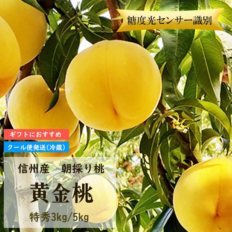 長野県産 桃 黄金桃 特秀 約3キロ / 約5キロ ギフト 贈答