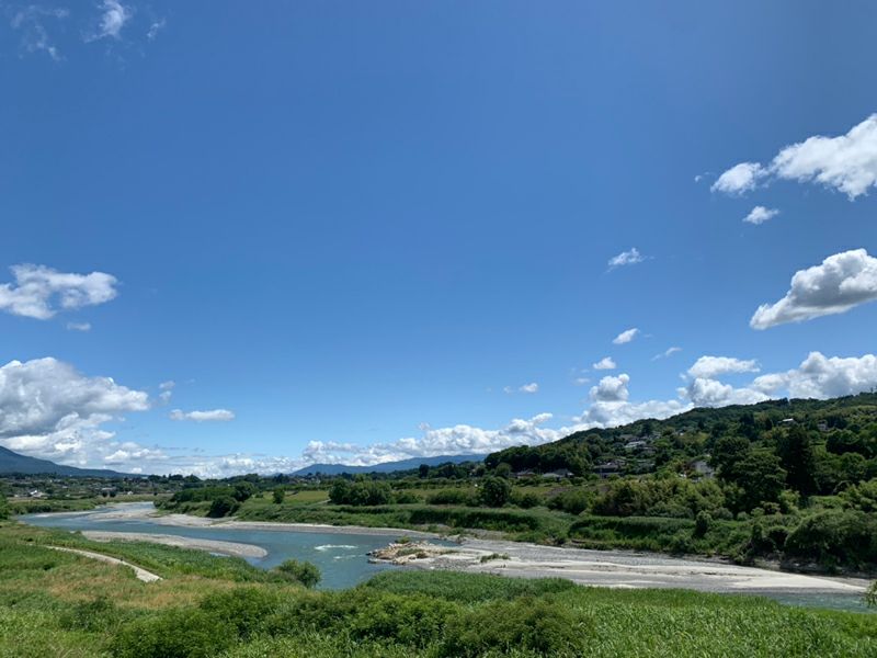 長野県産 桃 黄金桃特秀 約3キロ / 5キロ ギフト 贈答 | COCORO