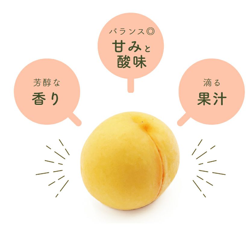 000000000231-13-l.jpg?t=