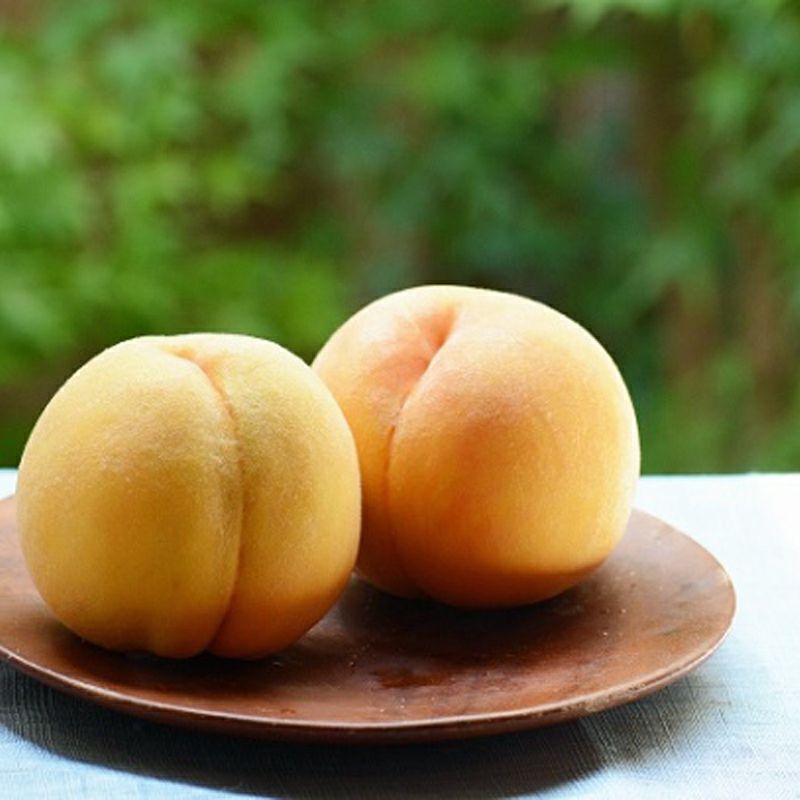 信州産　黄金桃　家庭用　10kg 8月中旬〜下旬 訳あり 黄金桃 長野県産 10キロ : Su-eat Farm