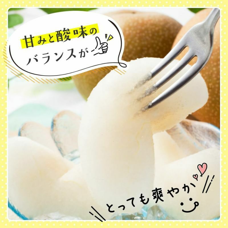 長野県産梨 豊水特秀 約3キロ 5キロギフト 贈答用 | COCORO FARM