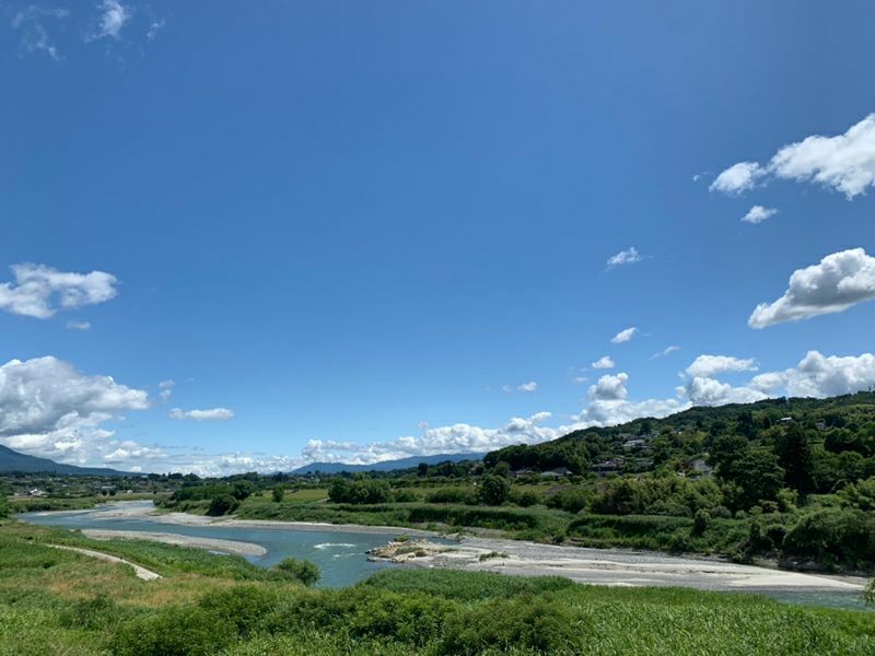 長野県産梨 豊水家庭用 約3キロ 5キロ | COCORO FARM VILLAGE