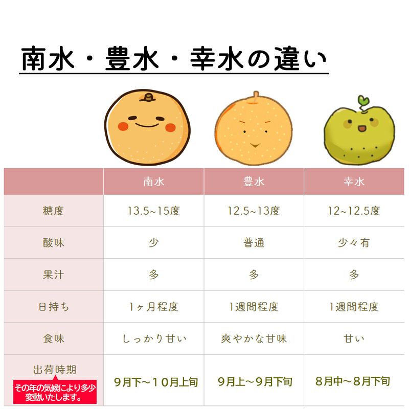 長野県産梨 豊水特秀 約3キロ 5キロギフト 贈答用 | COCORO FARM VILLAGE