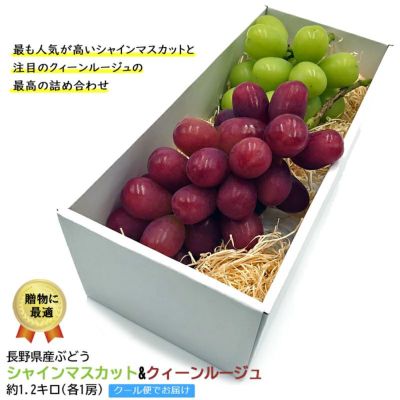 ぶどう:シャインマスカット|ココロマルシェ ぶどう:シャインマスカット|ココロマルシェ